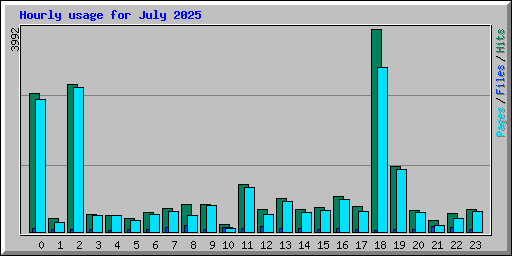 Hourly usage for July 2025