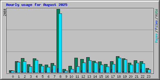 Hourly usage for August 2025