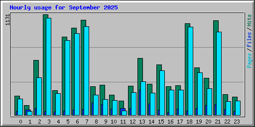 Hourly usage for September 2025