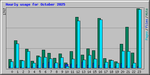 Hourly usage for October 2025