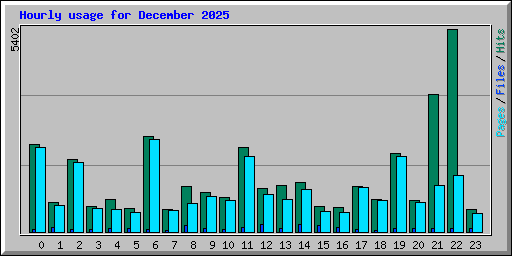 Hourly usage for December 2025