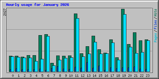 Hourly usage for January 2026