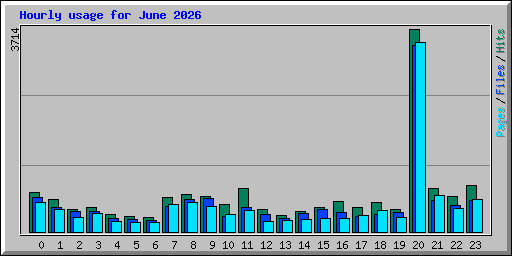 Hourly usage for June 2026